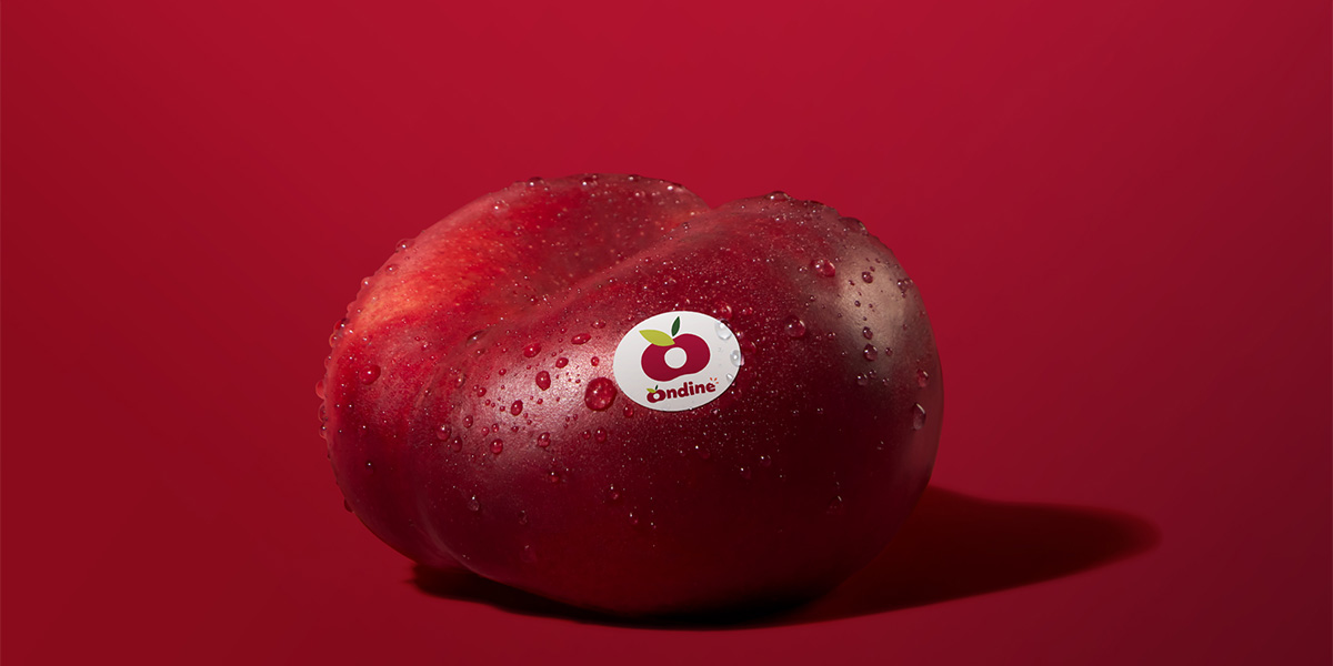 Bilancio positivo per la campagna “Snack the Summer” della nettarina piatta Ondine